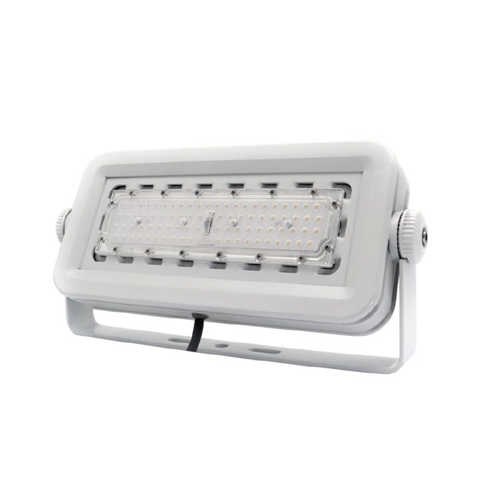 50W 100W 200W ضوء الشارع LED